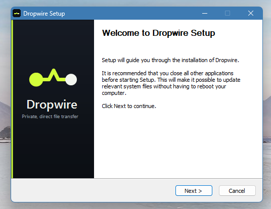 Branded Dropwire installer on Windows